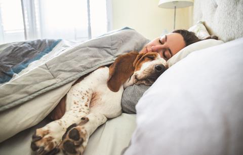 How-to-sleep-better